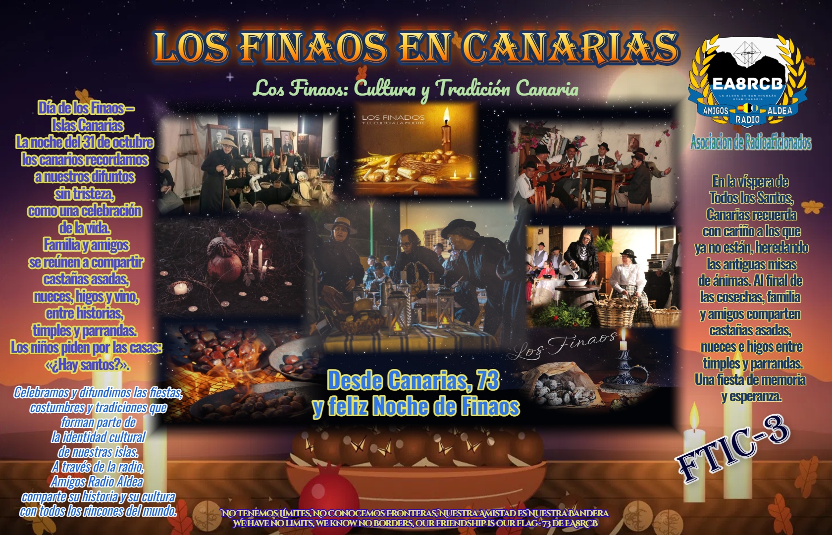 QSL FTIC-03